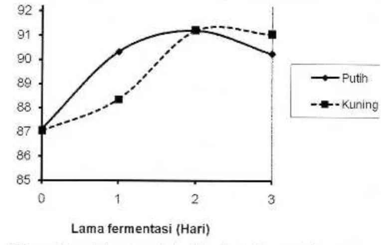 Gambar 2. Pengaruh fermentasispontan pada derajat keputihan daritepung ubi kayumodifikasi.