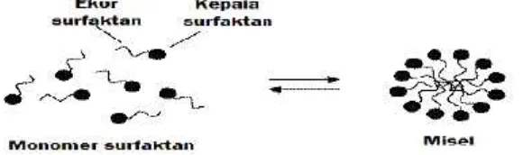 Gambar 5. Monomer Surfaktan yang Membentuk Misel