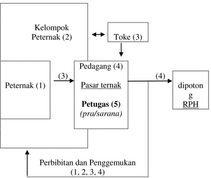 Gambar 1: Sistem dan komponen proses pemasaran ternak di Sumatera Barat.  kembalinya  hewan  pada  peternak  untuk 