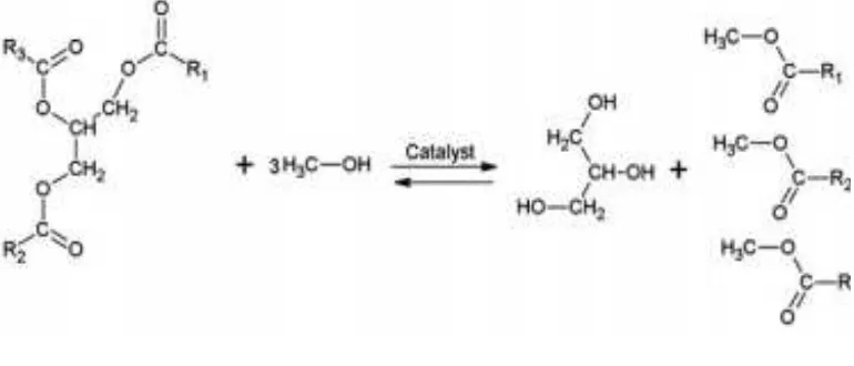 Gambar 2. Skema Reaksi Transesterifikasi Menggunakan Etanol 