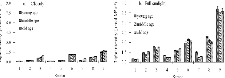 Fig. 3 Comparison of light intensity of mangosteen at various sector in canopy (a) cloudy and (b) full sunlight condition