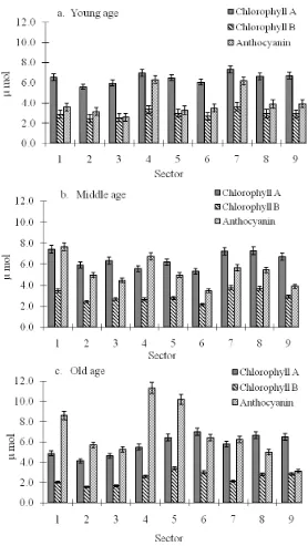 Fig. 4 Comparison of chlorophyll and anthocyanin content in leaves of mangosteen at various sector in canopy (a) young age, (b) middle age and (c) old age