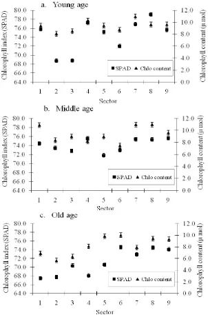 Fig. 5 The relationship between chlorophyll index and chlorophyll content in leaves of mangosteen at various sector in canopy (a) young age, (b) middle age and (c) old age