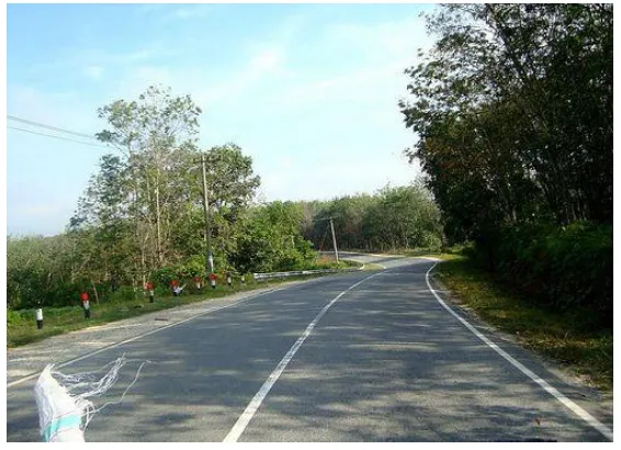 Gambar 2.4 Jalan Kabupaten (Jalan Di Riau) 