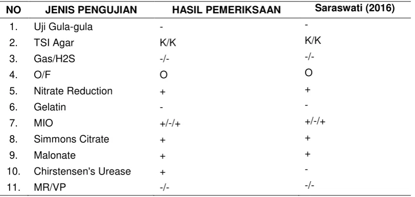 Tabel 3 Hasil Pengujian Biokimia 