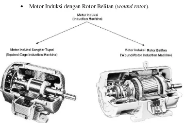 Gambar 2.8 Tampilan dari Rotor Sangkar dan Belitan  