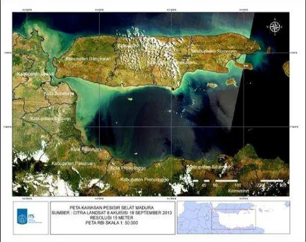 Gambar 1. Citra Satelit Landsat 8 Wilayah Pesisir Selat Madura 