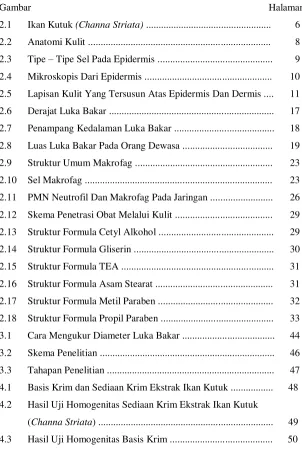 Gambar  