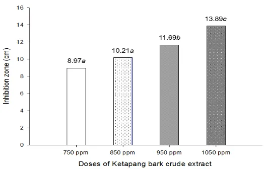 Fig.  1: The Relation between doses of Ketapang bark crude extract and the diameter of inhibition zone of A