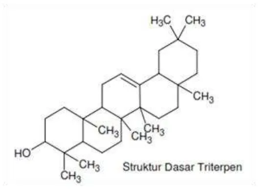 Gambar 6. Struktur Dasar Triterpenoid 