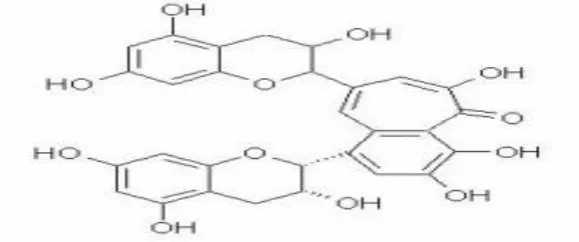 Gambar 7. Rumus Bangun Fenol 