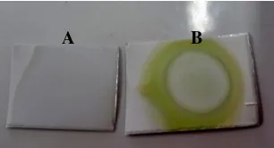 Gambar L6.1. Hasil skrining fitokimia simplisia golongan senyawa tanin B (blanko); Ta (setelah penambahan pereaksi FeCl3) 