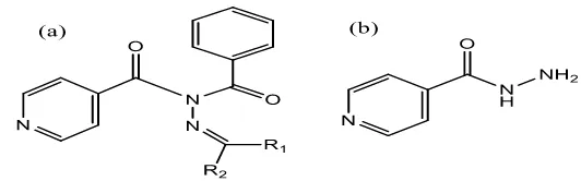Gambar 1.1 Struktur N-benzoil-N’-isonicotinohidrazida dan isoniazid 