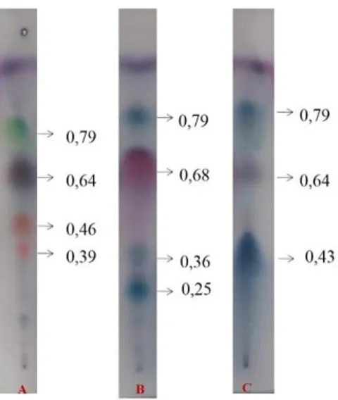Gambar 3. Profil  kromatogram minyak atsiri daun Mentha, A. Mentha spicata; B. Mentha x piperita;  C