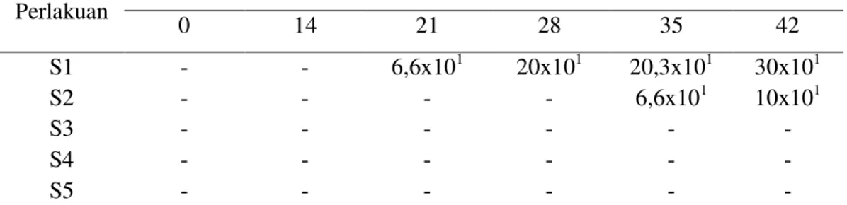 Tabel 5. Rata-rata pertumbuhan kapang pada sirup buah pedada (koloni/ml) 