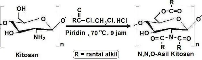 Gambar 2.11. Reaksi N,O-asilasi kitosan dengan asam suksinat anhidrit. 