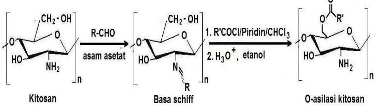 Gambar 2.12. Reaksi O-asilasi kitosan dalam basa schiff dengan asilklorida. 