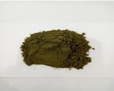 Gambar 3.  Serbuk herba meniran 