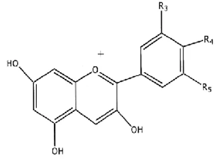 Gambar 1. Struktur  antosianin [3]  Gambar  1  merupakan  struktur  antosianin  yaitu  suatu  turunan  struktur  aromatik  tunggal  dengan  penambahan  atau  pengurangan  gugus  hidroksil  atau  dengan  metilasi  atau  glikosida  [2]