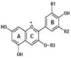 Gambar 9. Struktur Senyawa Antosianin 