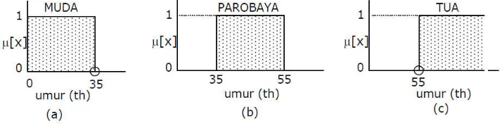 Gambar 2.4 Himpunan : MUDA, PAROBAYA, dan TUA 