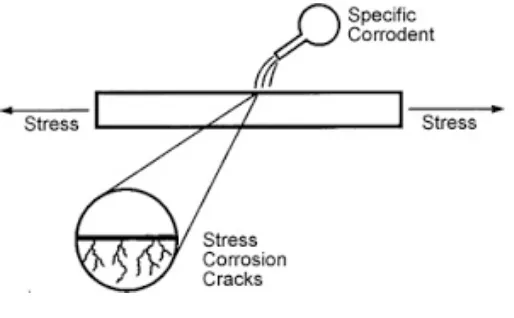 Gambar 4. Errosion Corrosion Pada Tube Condensor 