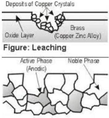 Gambar 6. Selective leaching 