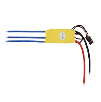 Gambar 2.11  Electric Speed Control 