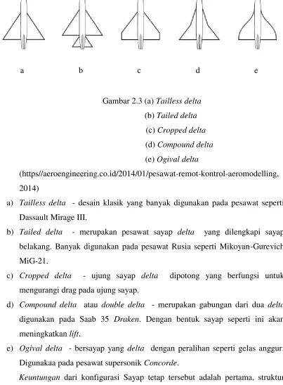 Gambar 2.3 (a) Tailless delta 