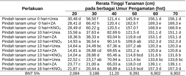 Tabel 1 Rerata Tinggi Tanaman Jagung Manis akibat Perbedaan Umur Pindah Tanam Benih    dan Penambahan berbagai Macam Pupuk Nitrogen 