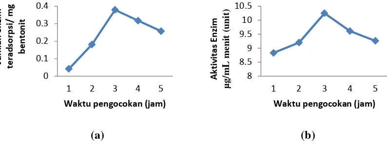 Gambar 1. (a) Grafik hubungan antara waktu pengocokan terhadap jumlah enzim teradsorpsi         (b) Grafik hubungan antara waktu pengocokan terhadap aktivitas enzim 