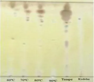 Gambar  5.  Kromatografi  lapis  tipis  isoflavon  pada  tempe  dan   minuman sari tempe 