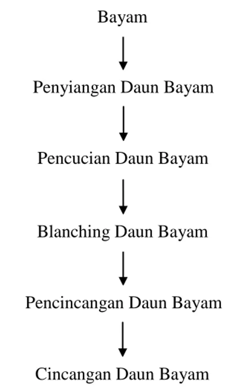 Gambar 3.2. Bagan Alir Proses Pembuatan Daun Bayam Cincang 