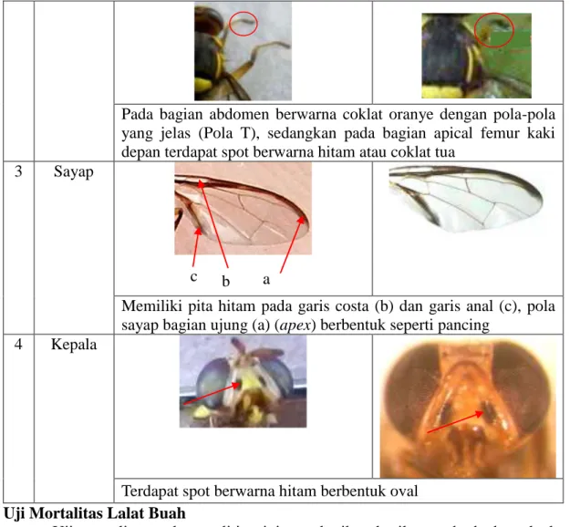 Tabel 3. Pengauruh Konsentrasi Ekstrak Kulit Durian terhadap Mortalitas Lalat Buah 