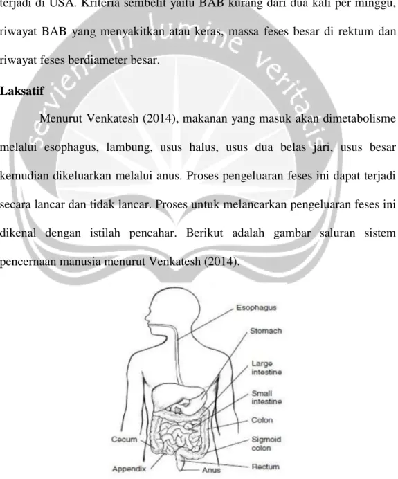 Gambar 1. Saluran Sistem Pencernaan Manusia (Venkatesh, 2014) 
