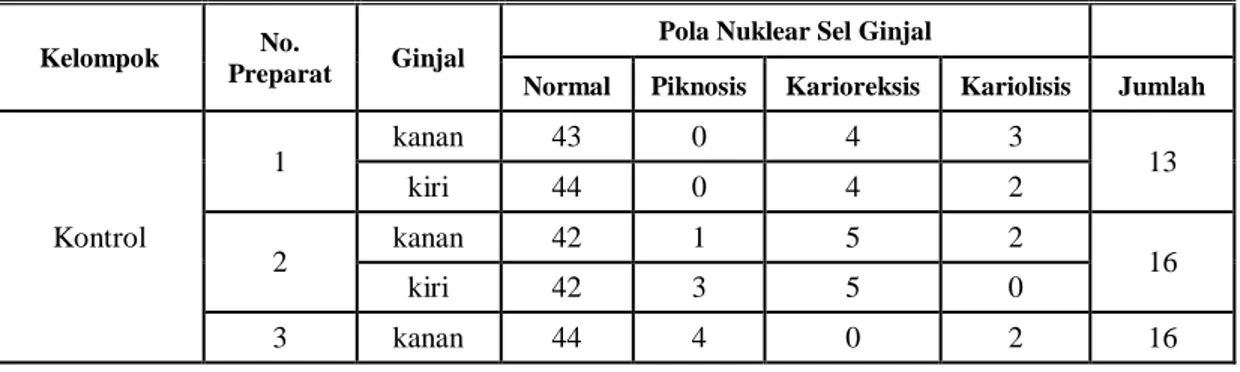Tabel 1.  Rata-Rata Jumlah Kerusakan Histologis Sel Epitel Tubulus Proksimal Ginjal  Pada masing-masing Kelompok