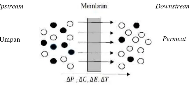 Gambar 4. Proses Pemisahan dengan Membran