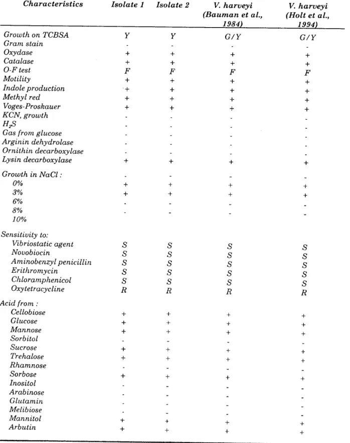 Table  1-  Chsracteristics  of two isolqtes  as  agent of red  spot  disease  in  Penaeus  ntonod,on  hateheries  in