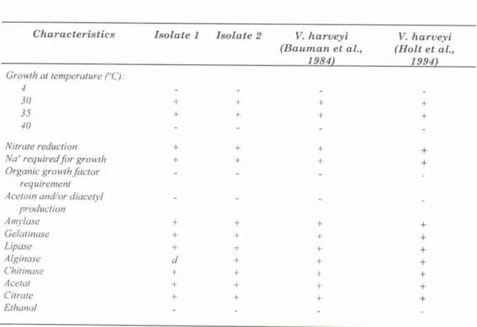 Table  2.  Pathogenicity  of  bacteria  isolate  on  Penaeus  monodon  laruae and deuelopntent  of  recl  spot  itt