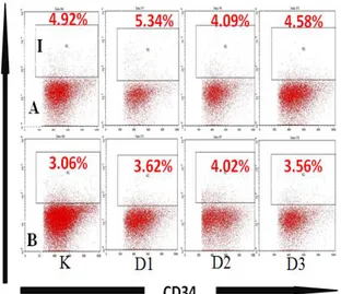 Gambar 3. Persentase jumlah relatif sel CD34 pada setiap  perlakuan  melalui  Flow  cytometry  dan  dianalisis  dengan program CellQuest (Analisis pada organ  paru-paru memakai antibodi anti-CD34 yang dilabel dengan  PE, I=ekspresi dari CD34, A = Non Infek