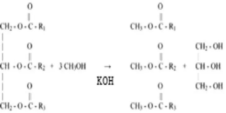 Figure 1. Change of oil acid values exposed at different conditions