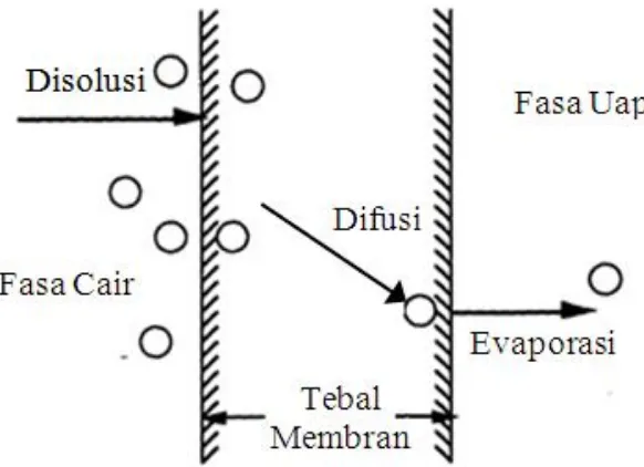 Gambar 5. Mekanisme solution-diffusion  