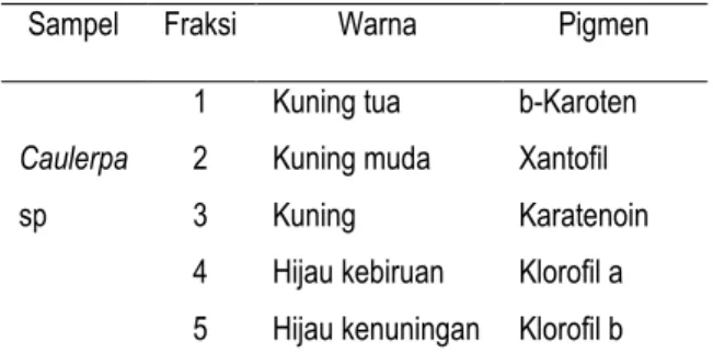 Tabel 1. Pigmen warna caulerpa sp 