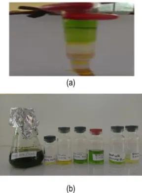 Gambar  5.  (a)  Kromotografi  Kolom  yang  menunjukkan  warna  pigmen;  (b)  vial  penampung  fraksi  1,2,3,4,dan 5 pigmen warna caulerpa sp