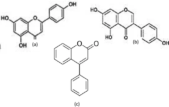 Gambar 8.  Struktur  senyawa  flavonoid  (a)  Flavonoid,  (b)  Isoflavonoid,  (c)  Neoflavonoid (Agestia, 2009)