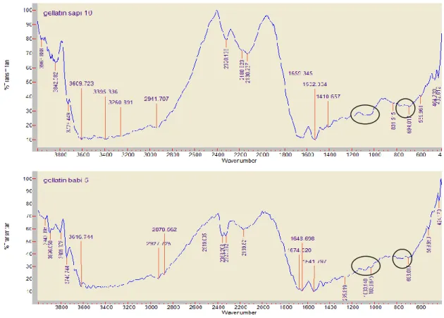 Gambar 4.8. Posisi puncak pola khas spektra FTIR gelatin sapi  yang berbeda dengan  gelatin babi pada rentang 730-740 cm -1  dan 1030-1080 cm -1 
