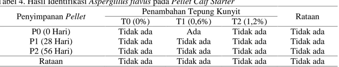 Tabel 4. Hasil Identifikasi Aspergillus flavus pada Pellet Calf Starter