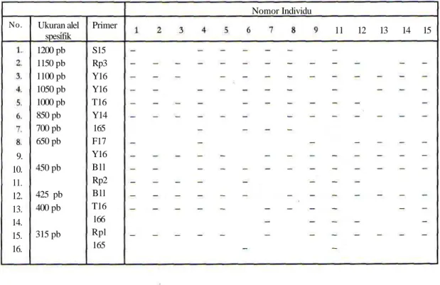Tabel 2. Pola fragmen DNA (yang merupakan alel spesifik) pada tiap iudividu, yang dihasilkan oleh 11 primer