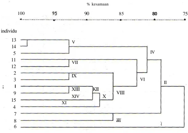 Gambar 2. Dendrogram  D N A alel spesifik dari individu-individu Kakatua Tanimbar (C. gqffini).