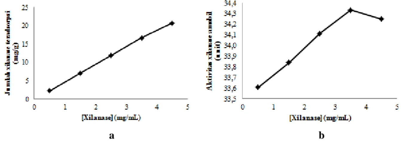 Gambar 2. Grafik hubungan antara konsentrasi xilanase terhadap (a) jumlah xilanase  teradsorpsi (b) aktivitas xilanase amobil 